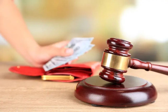 Garnishment wage bankruptcy wages judgment filing garnish payday loans garnishments stops